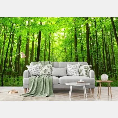 Fotomural sendero sereno en bosque verde – Pixers®