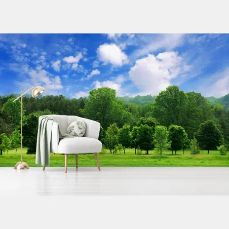 Fotomural paisaje de bosque verde en verano – Pixers®