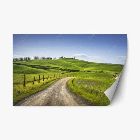 Pegatina reposicionable camino rural en Monteroni d'Arbia, Toscana – Pixers®