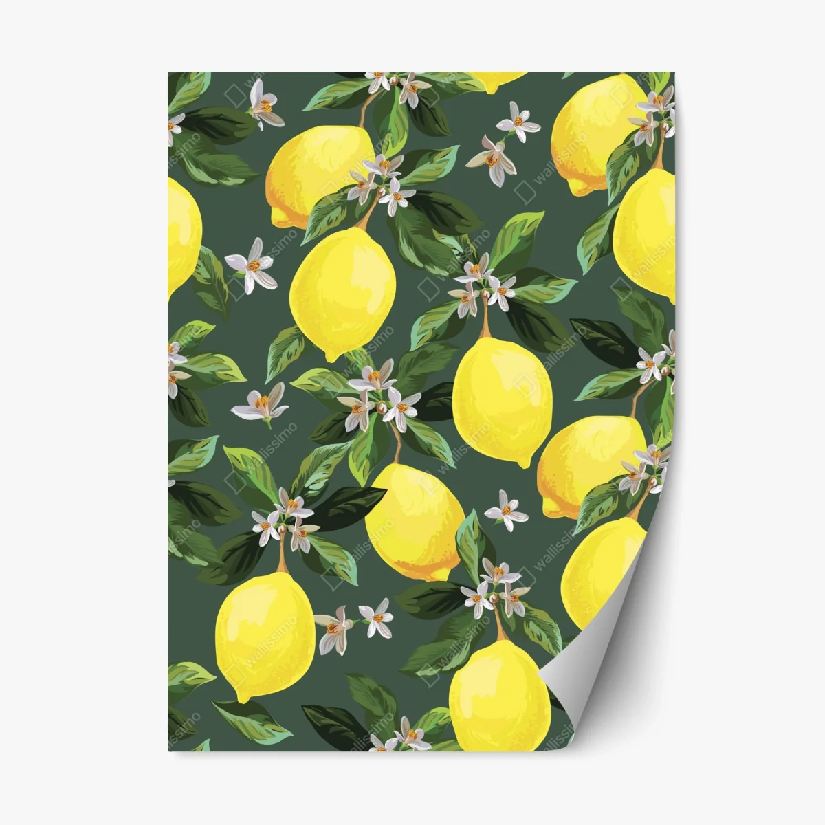 Pegatina reposicionable estampado de limones y flores sobre fondo verde – Pixers® Pegatina reposicionable estampado de limones y flores sobre fondo verde – Pixers®
