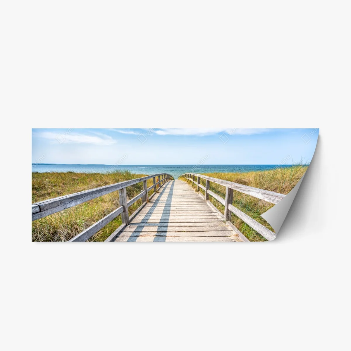Pegatina reposicionable pasarela de madera hacia el mar entre dunas – Pixers® Pegatina reposicionable pasarela de madera hacia el mar entre dunas – Pixers®