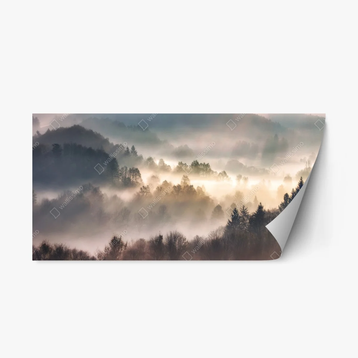 Pegatina reposicionable paisaje de niebla en colinas al amanecer – Pixers® Pegatina reposicionable paisaje de niebla en colinas al amanecer – Pixers®