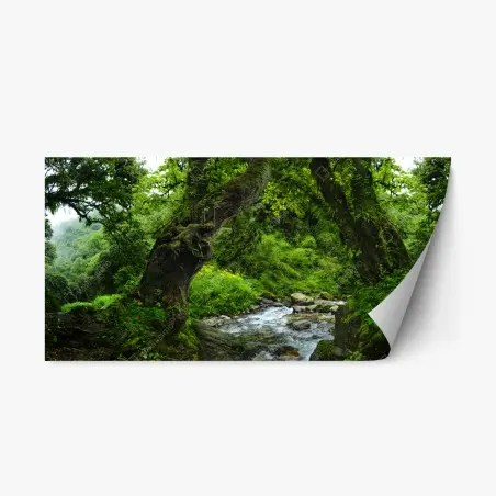 Pegatina reposicionable arco natural en bosque verde junto al río – Pixers®