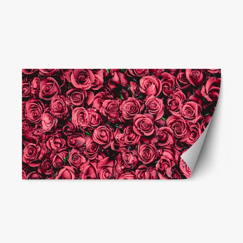 Pegatina reposicionable diseño de rosas rojas en detalle