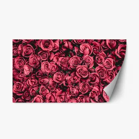 Pegatina reposicionable diseño de rosas rojas en detalle – Pixers®