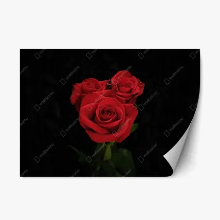 Pegatina reposicionable rosas rojas sobre fondo negro – Pixers®