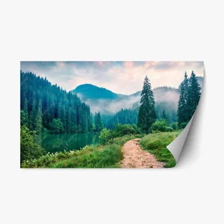 Pegatina reposicionable amanecer brumoso en Lacu Rosu – Pixers®