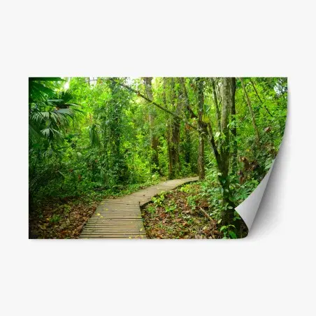 Pegatina reposicionable sendero entre la selva tropical – Pixers®