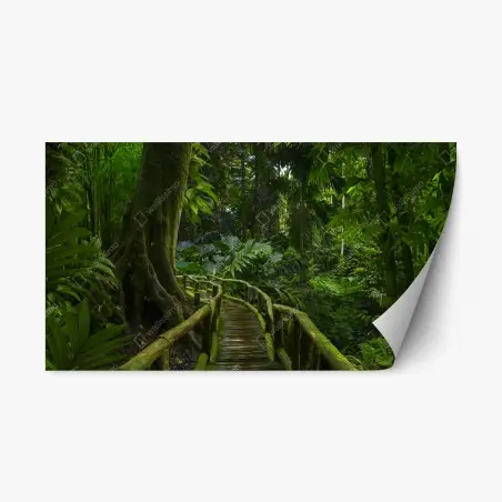 Pegatina reposicionable sendero verde en la selva tropical – Pixers®
