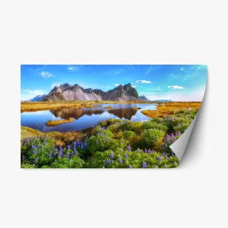 Pegatina reposicionable lupinos junto a Vestrahorn en Stokksnes – Pixers®
