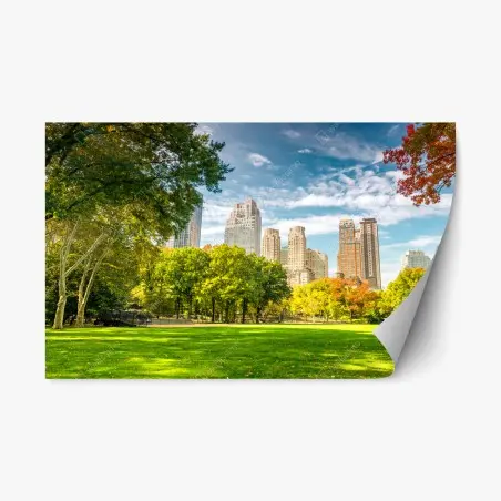 Pegatina reposicionable brisa otoñal en Central Park, Nueva York – Pixers®