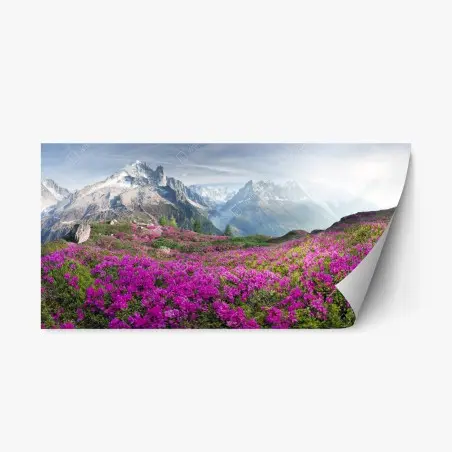 Pegatina reposicionable pradera alpina en flor junto a Mont Blanc – Pixers®