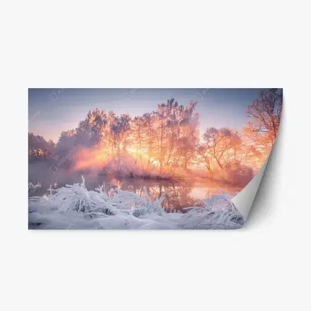 Pegatina reposicionable amanecer invernal entre árboles helados – Pixers®