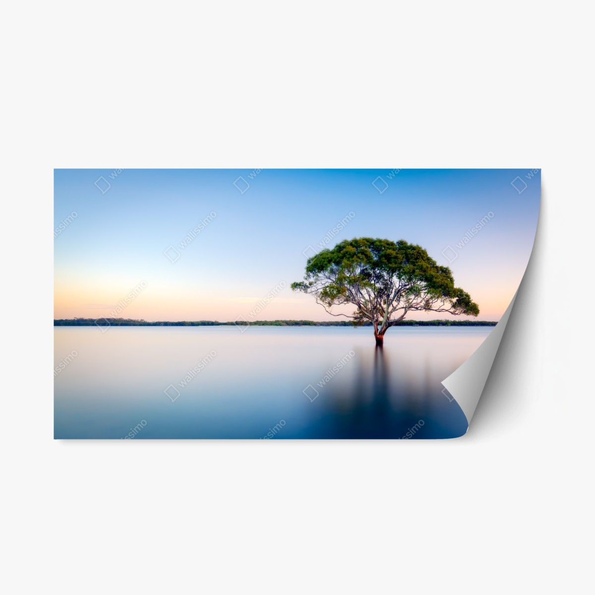 Pegatina reposicionable árbol solitario sobre agua en tonos pastel – Pixers®