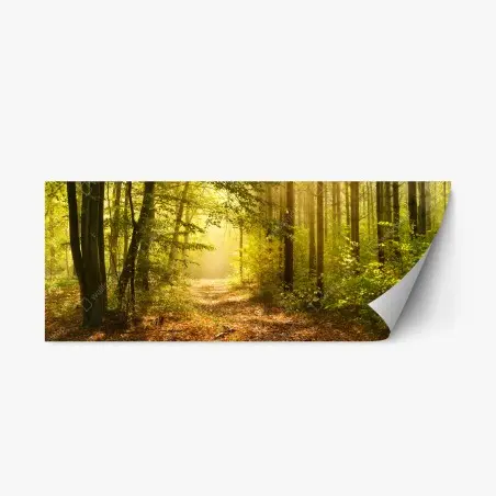 Pegatina reposicionable sendero dorado en el bosque – Pixers®