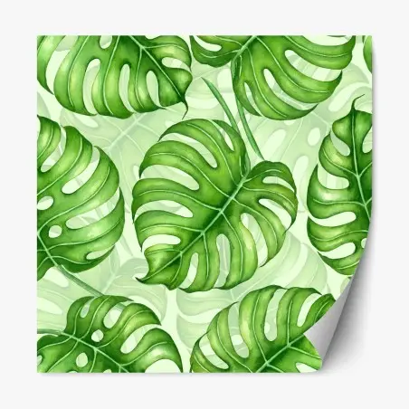 Pegatina reposicionable patrón tropical de hojas de monstera en acuarela – Pixers®