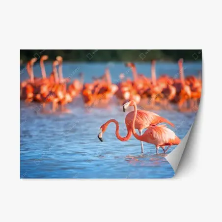 Pegatina reposicionable flamencos en aguas serenas – Pixers®
