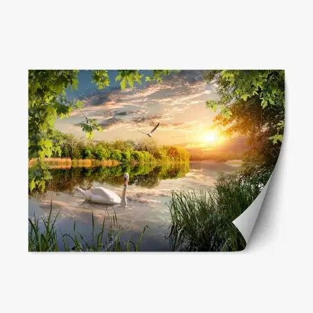 Pegatina reposicionable atardecer sereno en el lago con cisne – Pixers®