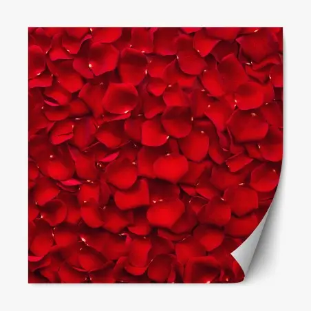 Pegatina reposicionable arte decorativo de pétalos de rosa rojos – Pixers®