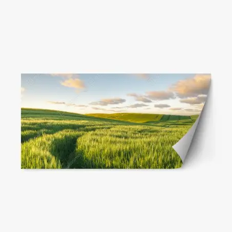Pegatina reposicionable panorama de campo primaveral en colinas verdes – Pixers®