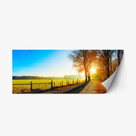 Pegatina reposicionable camino rural al amanecer con luz dorada – Pixers®
