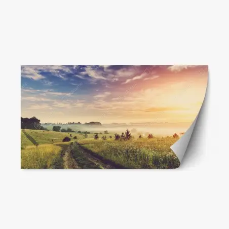 Pegatina reposicionable amanecer brumoso en la pradera dorada – Pixers®