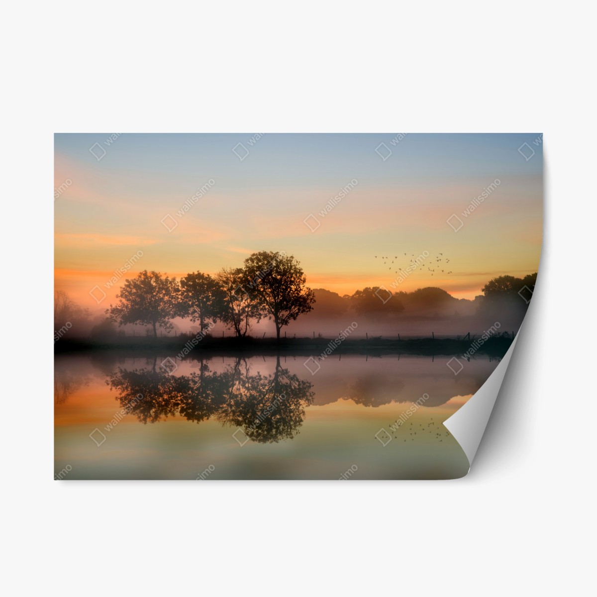 Pegatina reposicionable amanecer otoñal en la campiña de Inglaterra – Pixers®
