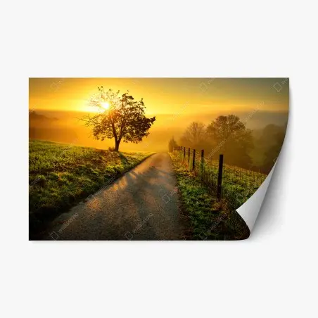 Pegatina reposicionable amanecer dorado en la colina – Pixers®