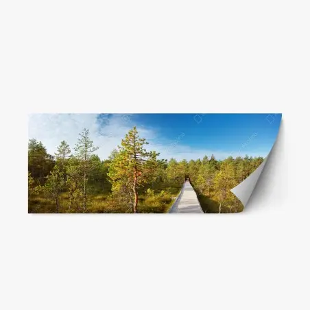 Pegatina reposicionable sendero de madera entre pinos – Pixers®