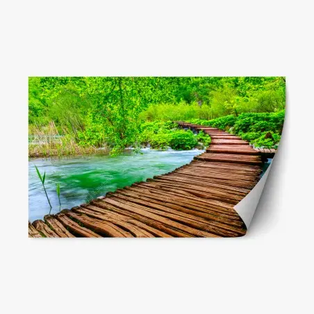 Pegatina reposicionable sendero de madera sobre río esmeralda – Pixers®