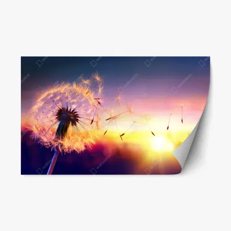 Pegatina reposicionable diente de león al viento en atardecer dorado – Pixers®