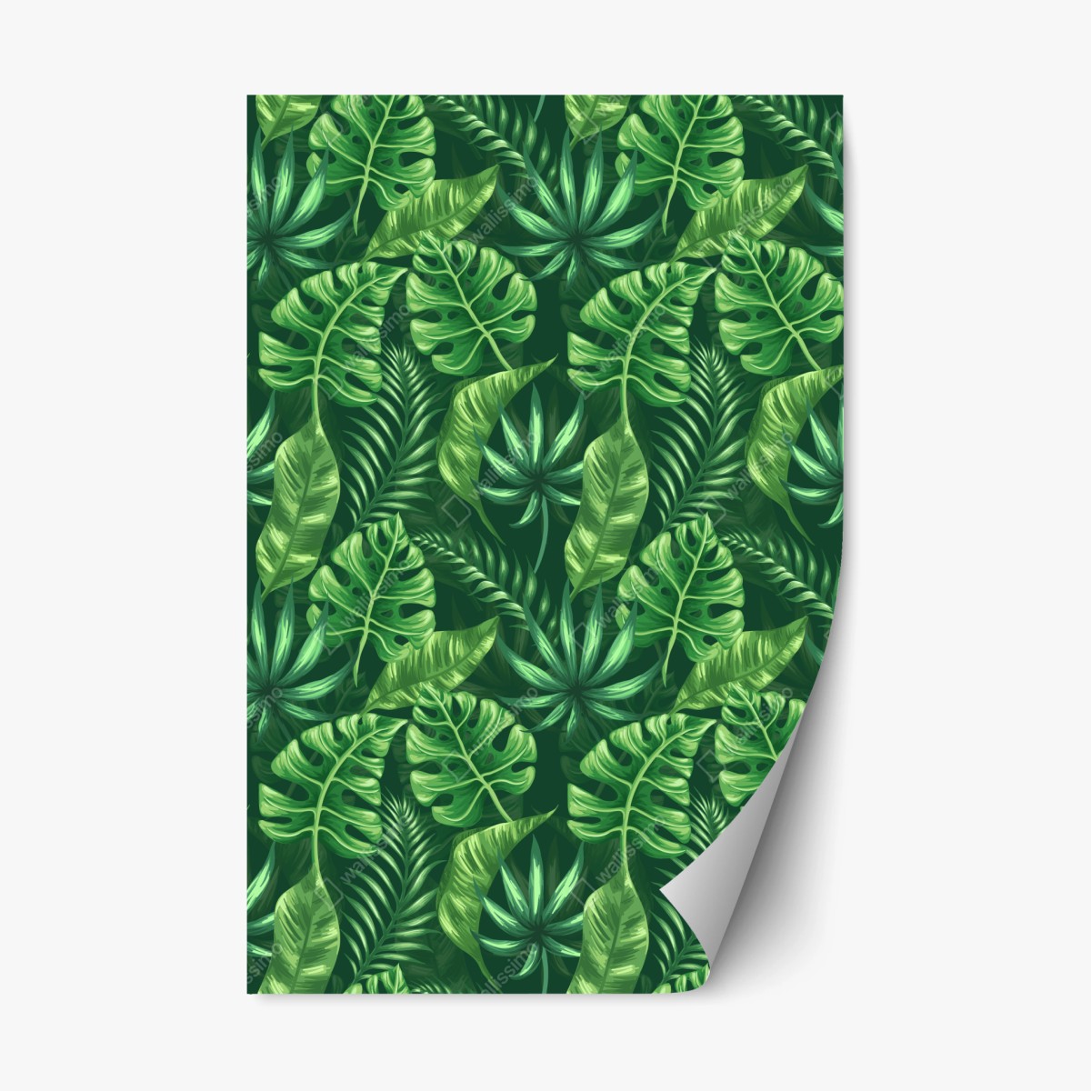 Pegatina reposicionable estampado tropical de hojas verdes – Pixers®
