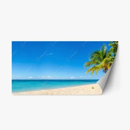 Pegatina reposicionable paisaje de playa tropical con palmera – Pixers®