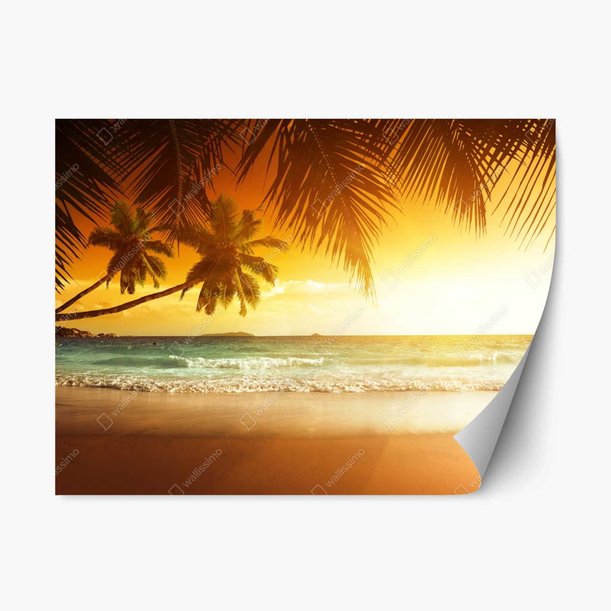 Pegatina reposicionable atardecer caribeño en la playa – Pixers®