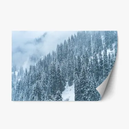 Pegatina reposicionable bosque de pinos nevados en montaña neblinosa – Pixers®