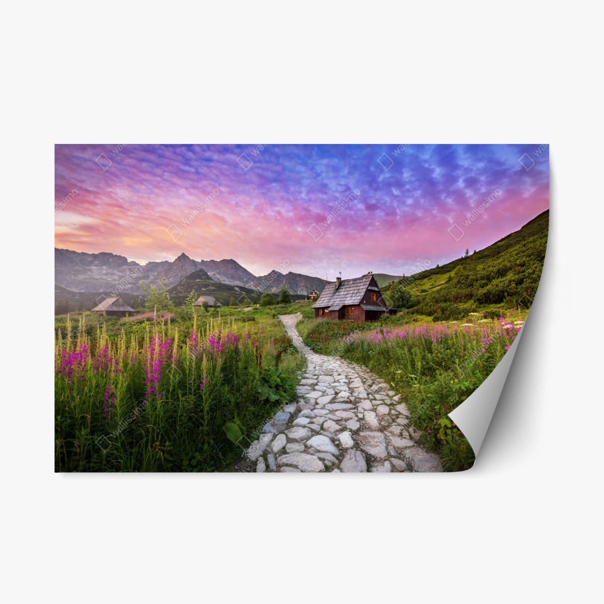 Pegatina reposicionable amanecer sereno en Hala Gasienicowa, Tatras – Pixers®