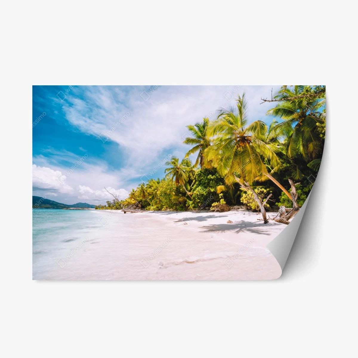 Pegatina reposicionable playa tropical con palmeras y arena blanca – Pixers® Pegatina reposicionable playa tropical con palmeras y arena blanca – Pixers®