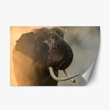 Pegatina reposicionable elefante de Surin en la niebla dorada – Pixers®