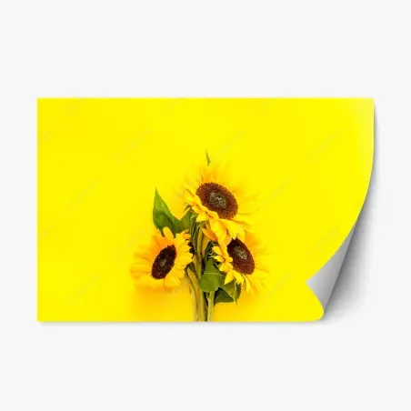 Pegatina reposicionable girasoles sobre fondo amarillo vibrante – Pixers®