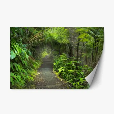 Pegatina reposicionable sendero del bosque lluvioso en Kilauea Iki – Pixers®