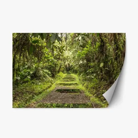 Pegatina reposicionable sendero entre la selva tropical – Pixers®