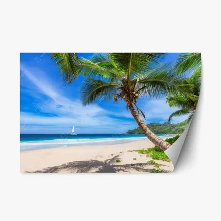 Pegatina reposicionable escena de playa tropical con palmera inclinada y velero – Pixers®