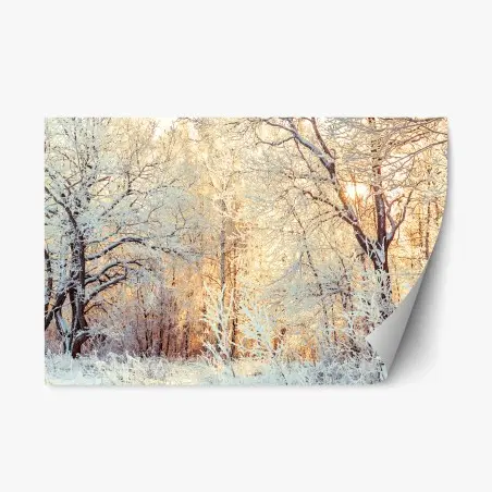Pegatina reposicionable bosque invernal al atardecer – Pixers®