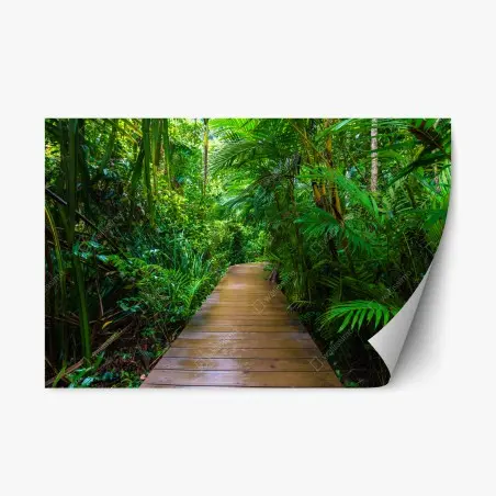 Pegatina reposicionable pasarela en manglar: paseo entre verdes – Pixers®