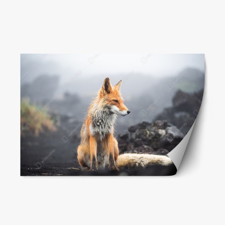 Pegatina reposicionable zorro entre la niebla – Pixers®