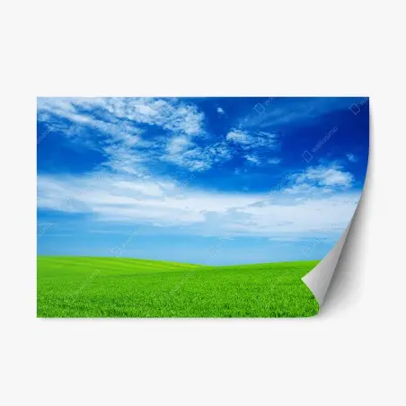 Pegatina reposicionable pradera verde bajo cielo azul brillante – Pixers®