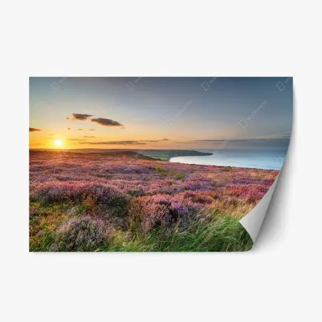 Pegatina reposicionable atardecer sobre brezos en North York Moors – Pixers®