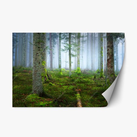 Pegatina reposicionable bosque brumoso de Alsacia – Pixers®