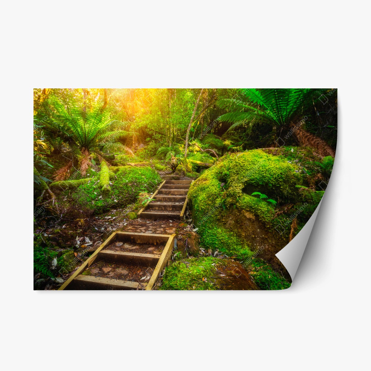 Pegatina reposicionable sendero jurásico en la península de Tasman, Tasmania – Pixers®