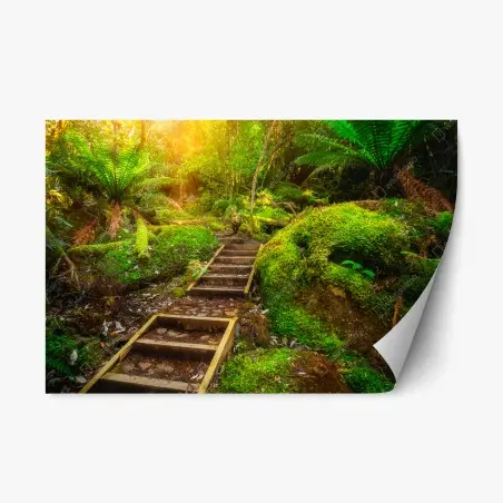 Pegatina reposicionable sendero jurásico en la península de Tasman, Tasmania – Pixers®